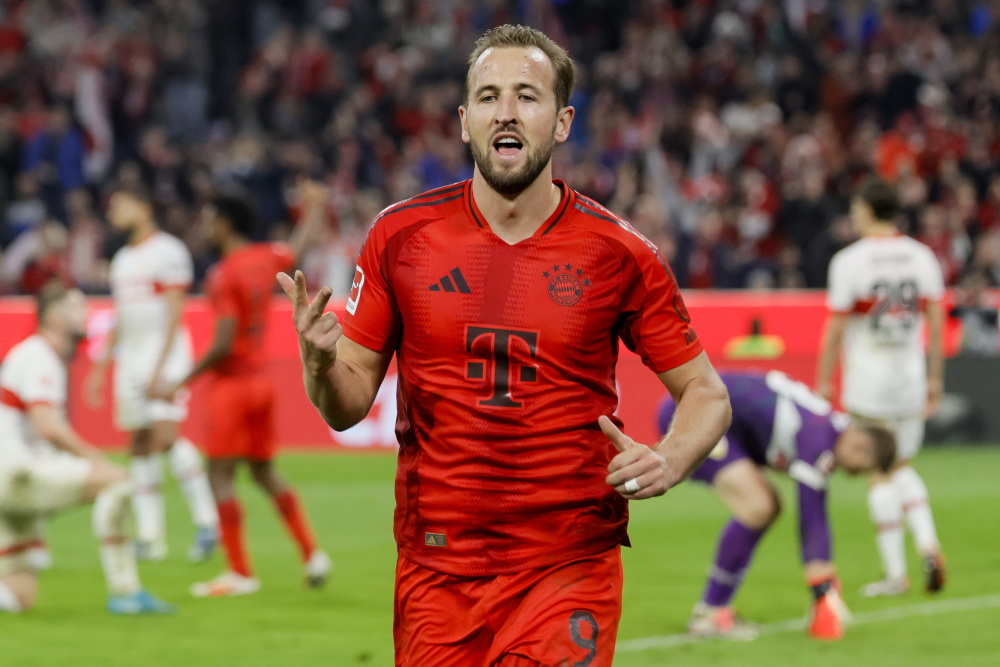 引发了众多 引发了众多