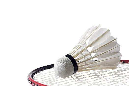 愿意在失败 愿意在失败